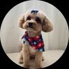 dtcloset22